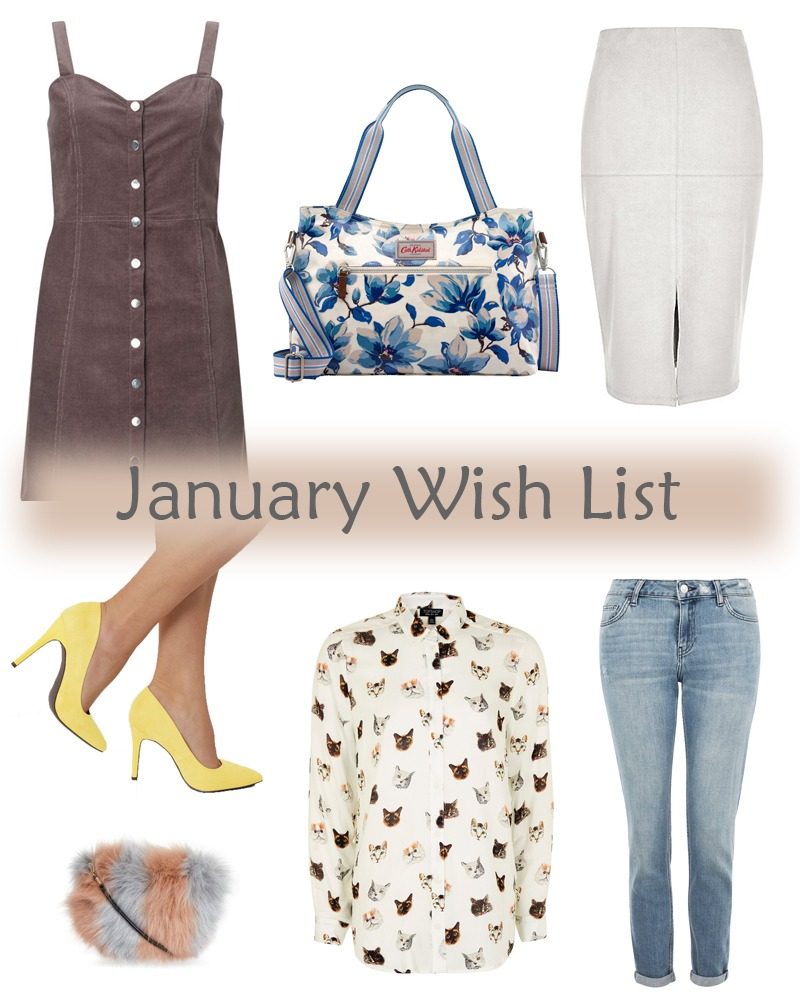 January Fashion Wish List