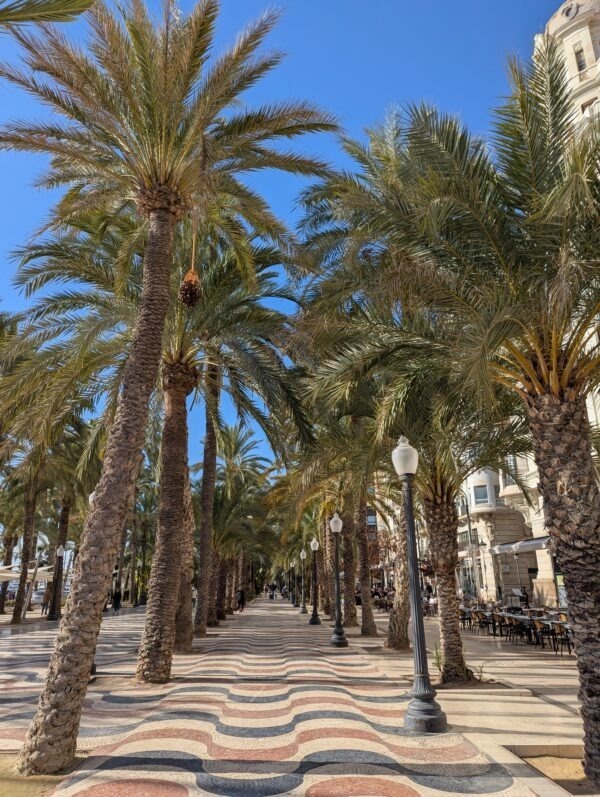 Alicante Travel Guide